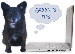 Bubbie's Tips
