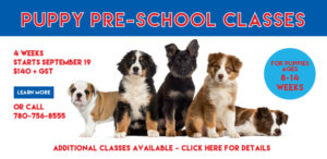 puppy training classes edmonton