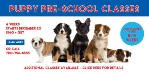 puppy training classes edmonton