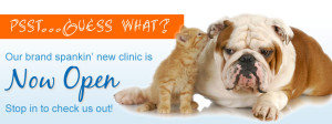 Our new clinic is now open!