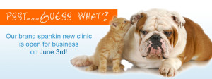 Edmonton Veterinary Clinic Grand Opening